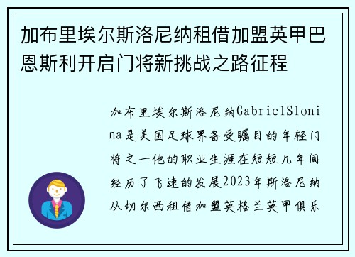 加布里埃尔斯洛尼纳租借加盟英甲巴恩斯利开启门将新挑战之路征程